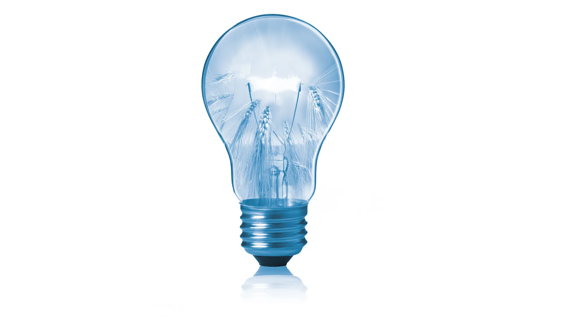 Innovation